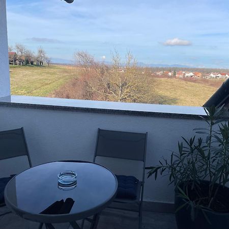 Vila Milka - Balkon - Besplatan Parking - Samostalna Prijava 卡尔洛瓦茨 外观 照片